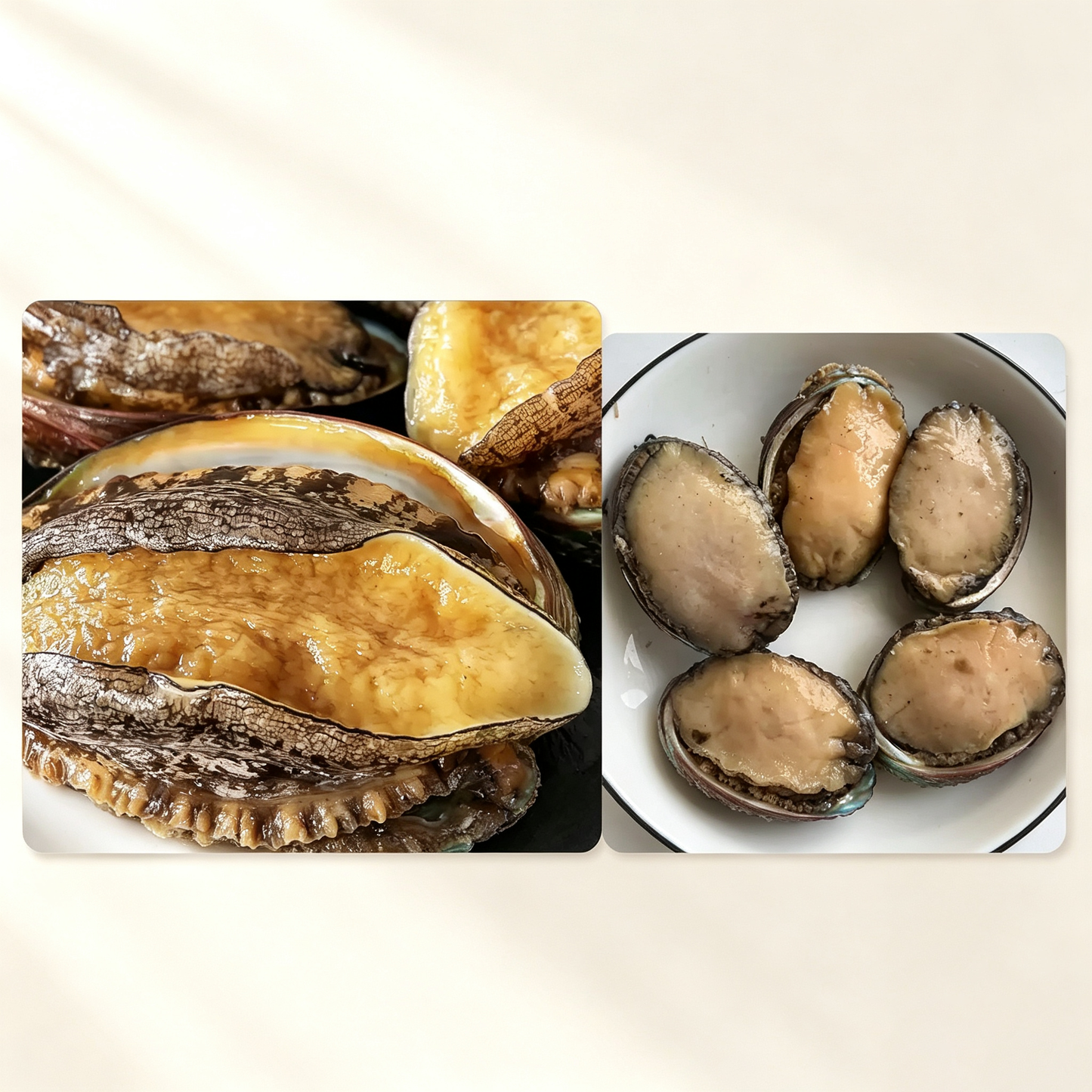 Frozen Raw Large Abalone