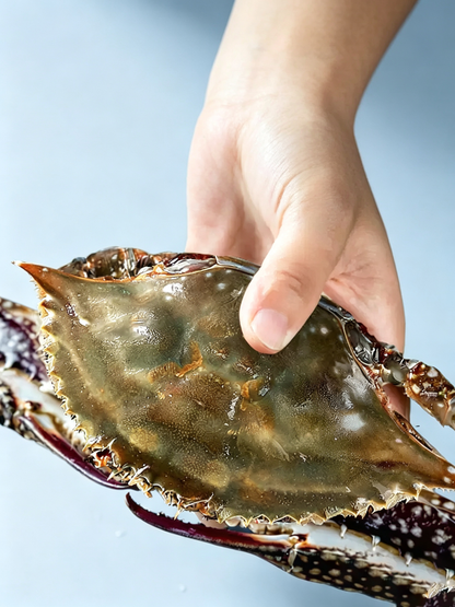 Frozen Raw Whole Swimming Crab