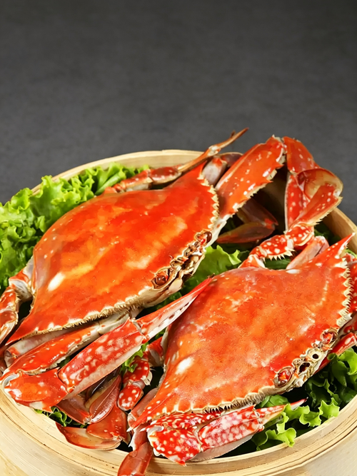 Frozen Raw Whole Swimming Crab
