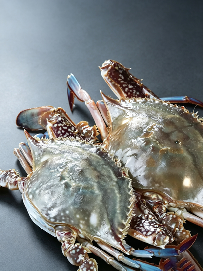 Frozen Raw Whole Swimming Crab